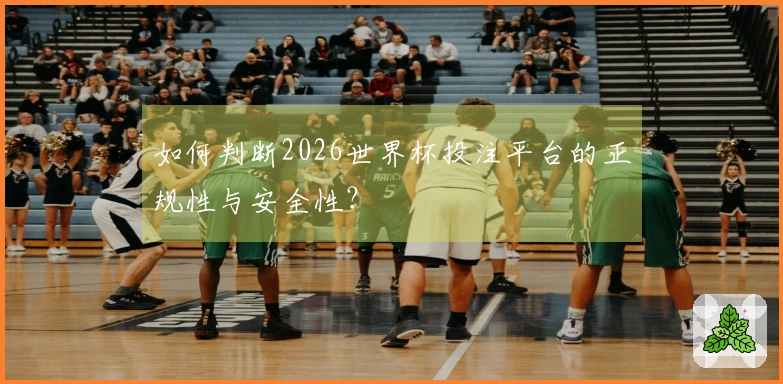 如何判断2026世界杯投注平台的正规性与安全性？