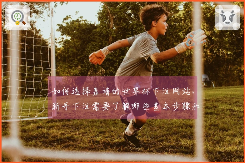 如何选择靠谱的世界杯下注网站，新手下注需要了解哪些基本步骤和注意事项？