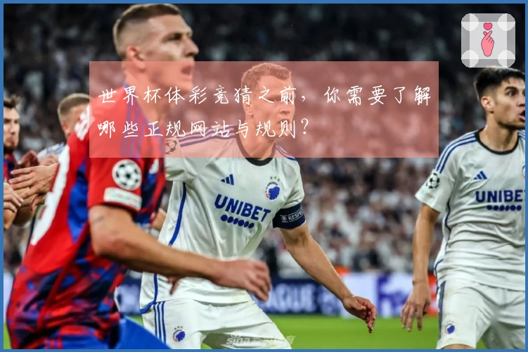 世界杯体彩竞猜之前，你需要了解哪些正规网站与规则？