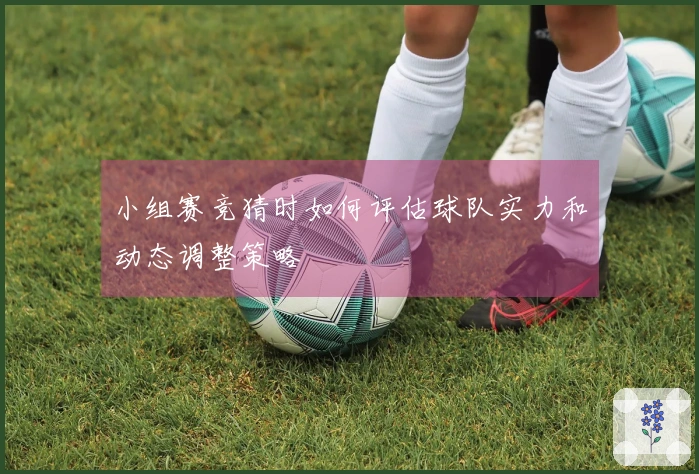 小组赛竞猜时如何评估球队实力和动态调整策略