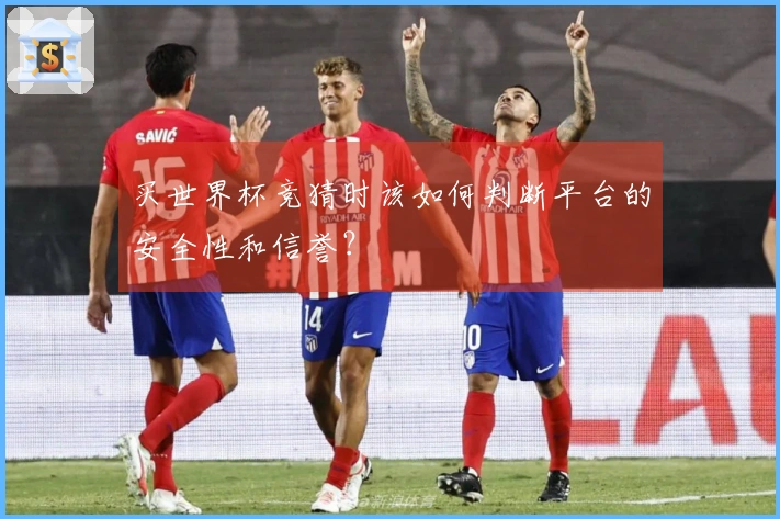 买世界杯竞猜时该如何判断平台的安全性和信誉？