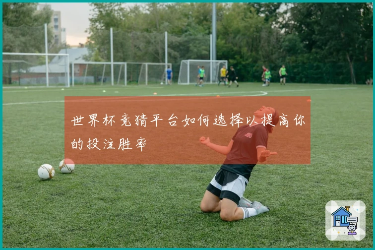 世界杯竞猜平台如何选择以提高你的投注胜率
