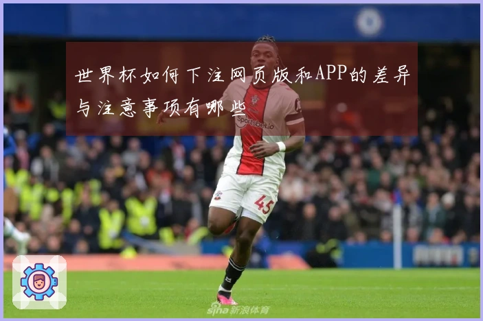 世界杯如何下注网页版和APP的差异与注意事项有哪些