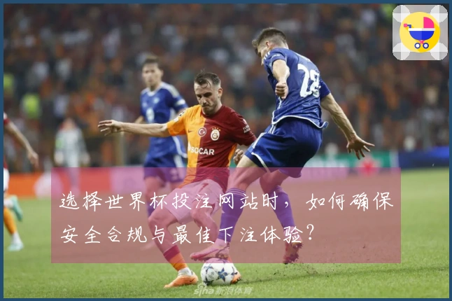 选择世界杯投注网站时，如何确保安全合规与最佳下注体验？
