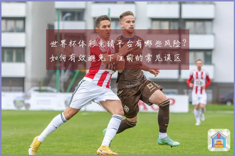 世界杯体彩竞猜平台有哪些风险？如何有效避免下注前的常见误区