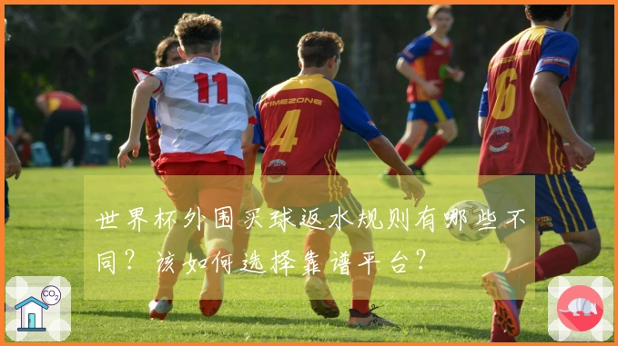 世界杯外围买球返水规则有哪些不同？该如何选择靠谱平台？