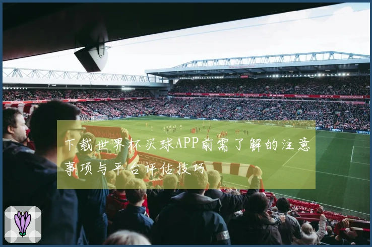 下载世界杯买球APP前需了解的注意事项与平台评估技巧