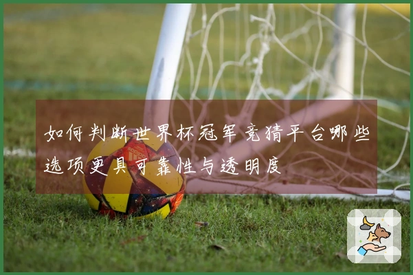 如何判断世界杯冠军竞猜平台哪些选项更具可靠性与透明度