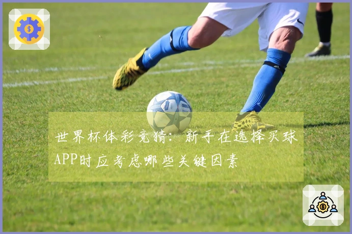 世界杯体彩竞猜：新手在选择买球APP时应考虑哪些关键因素