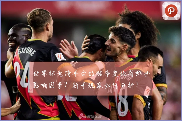 世界杯竞猜平台的赔率变化有哪些影响因素？新手玩家如何分析？