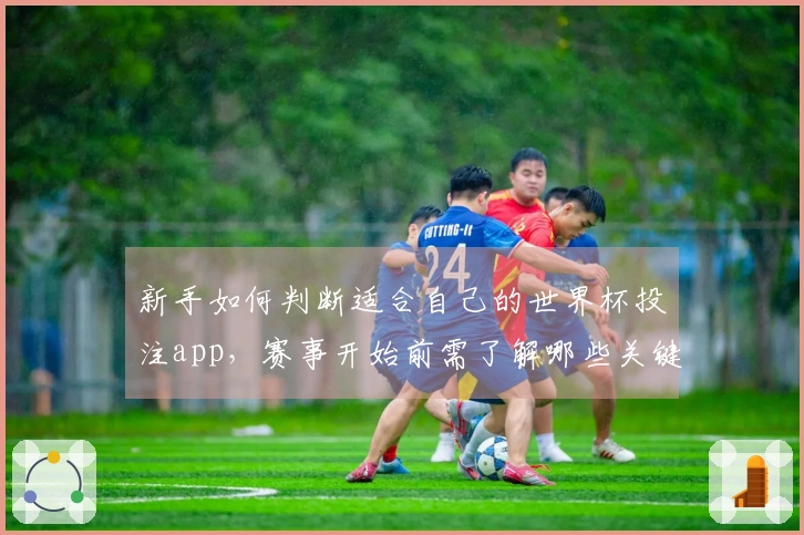 新手如何判断适合自己的世界杯投注app，赛事开始前需了解哪些关键要素