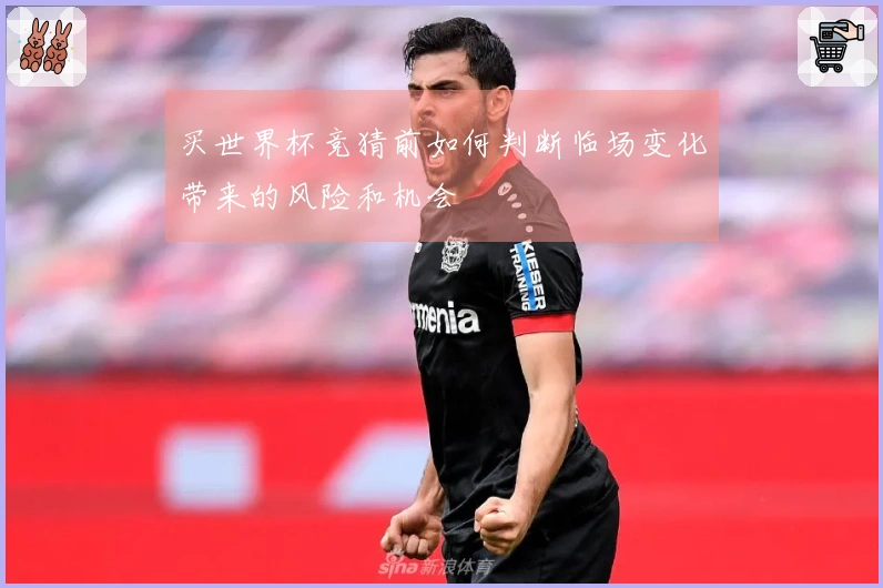 买世界杯竞猜前如何判断临场变化带来的风险和机会