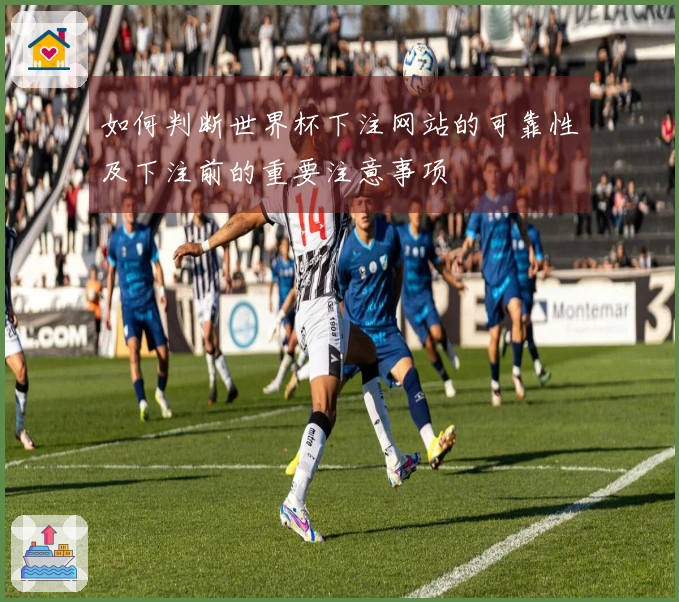 如何判断世界杯下注网站的可靠性及下注前的重要注意事项