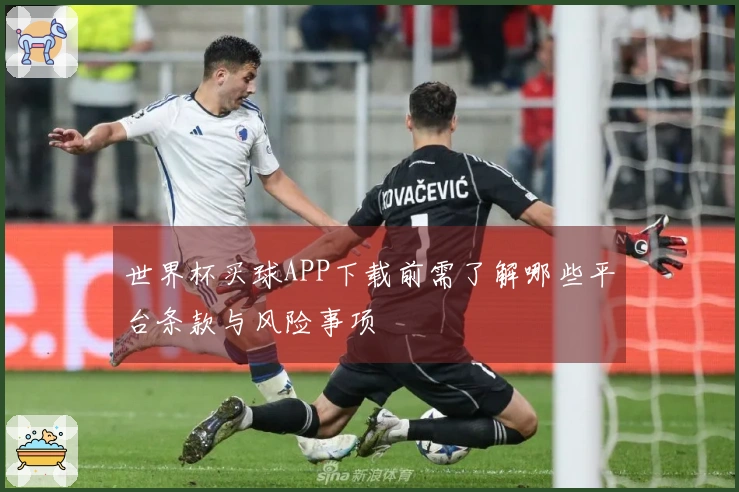 世界杯买球APP下载前需了解哪些平台条款与风险事项
