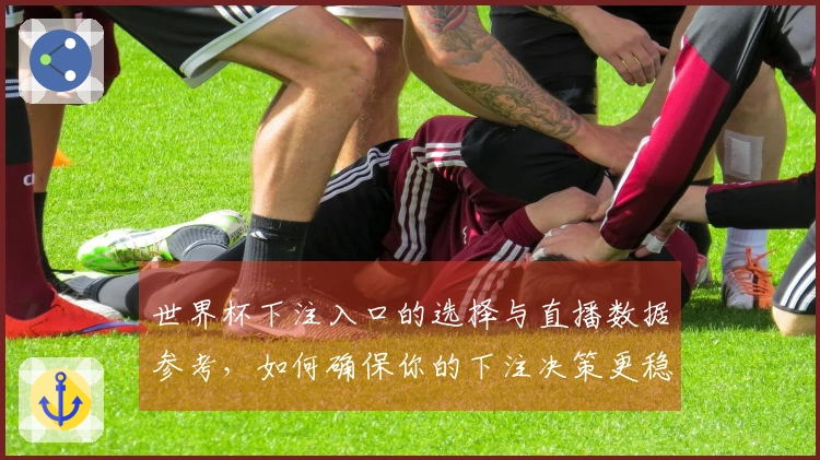 世界杯下注入口的选择与直播数据参考，如何确保你的下注决策更稳妥？
