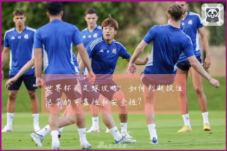 世界杯买足球攻略：如何判断投注记录的可靠性和安全性？