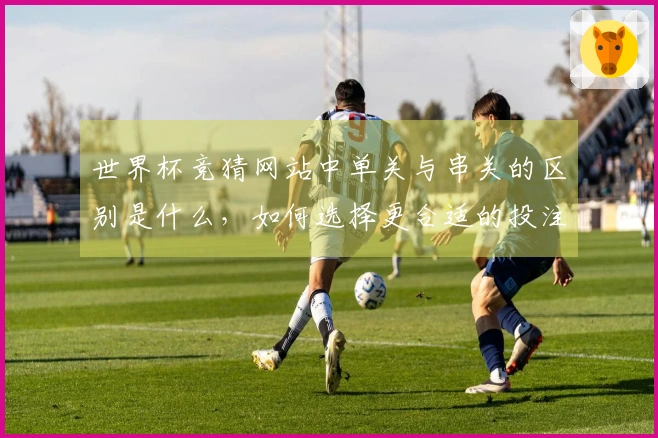 世界杯竞猜网站中单关与串关的区别是什么,如何选择更合适的投注方式?