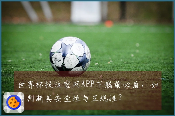 世界杯投注官网APP下载前必看，如何判断其安全性与正规性？