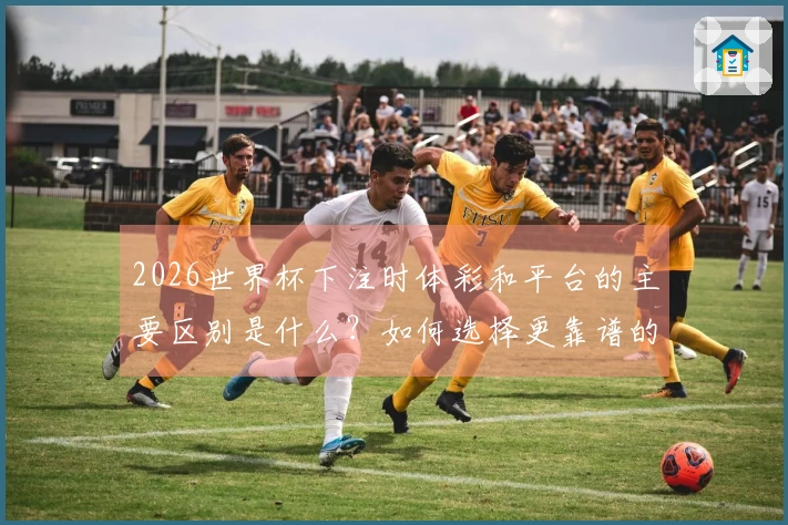 2026世界杯下注时体彩和平台的主要区别是什么？如何选择更靠谱的投注方式？