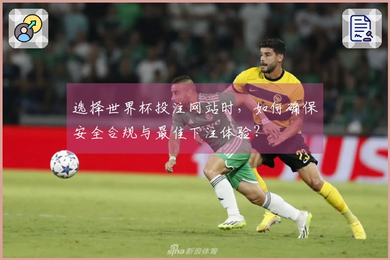 选择世界杯投注网站时，如何确保安全合规与最佳下注体验？
