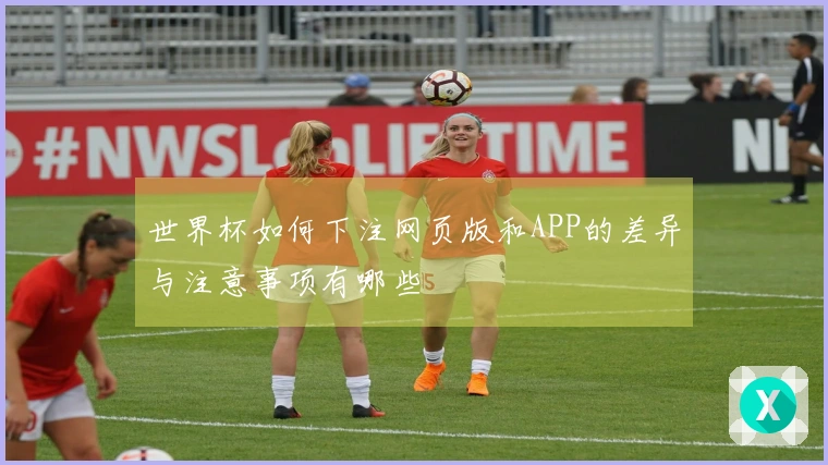 世界杯如何下注网页版和APP的差异与注意事项有哪些