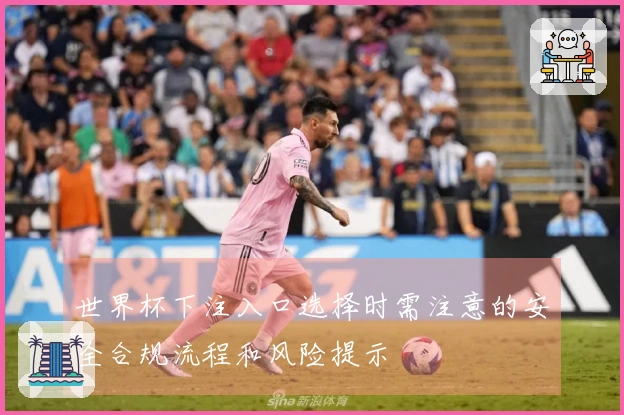 世界杯下注入口选择时需注意的安全合规流程和风险提示