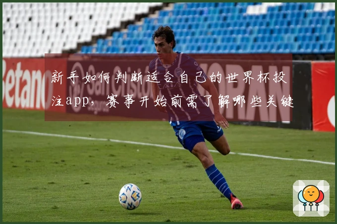 新手如何判断适合自己的世界杯投注app，赛事开始前需了解哪些关键要素