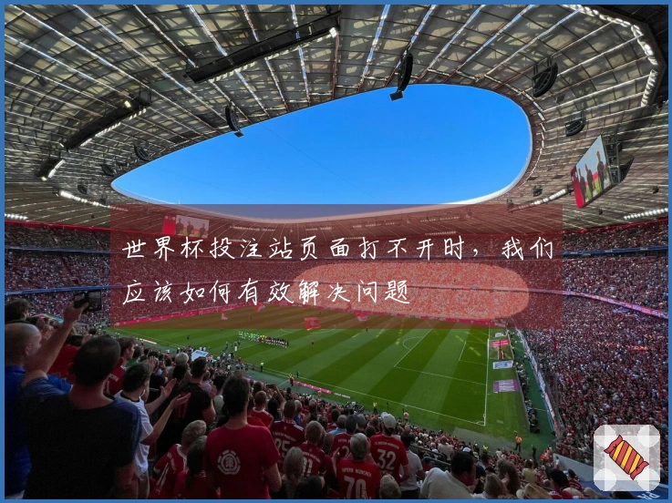世界杯投注站页面打不开时，我们应该如何有效解决问题