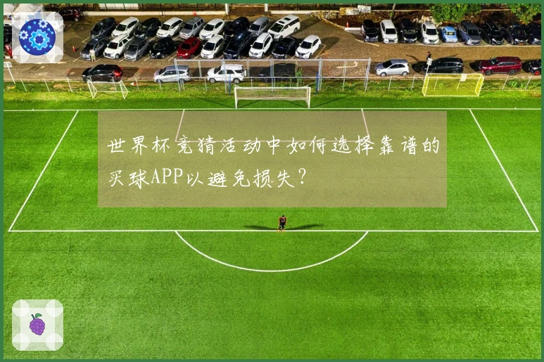 世界杯竞猜活动中如何选择靠谱的买球APP以避免损失？