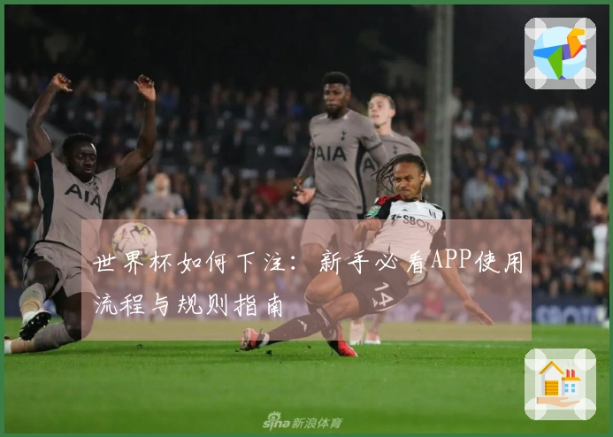 世界杯如何下注：新手必看APP使用流程与规则指南