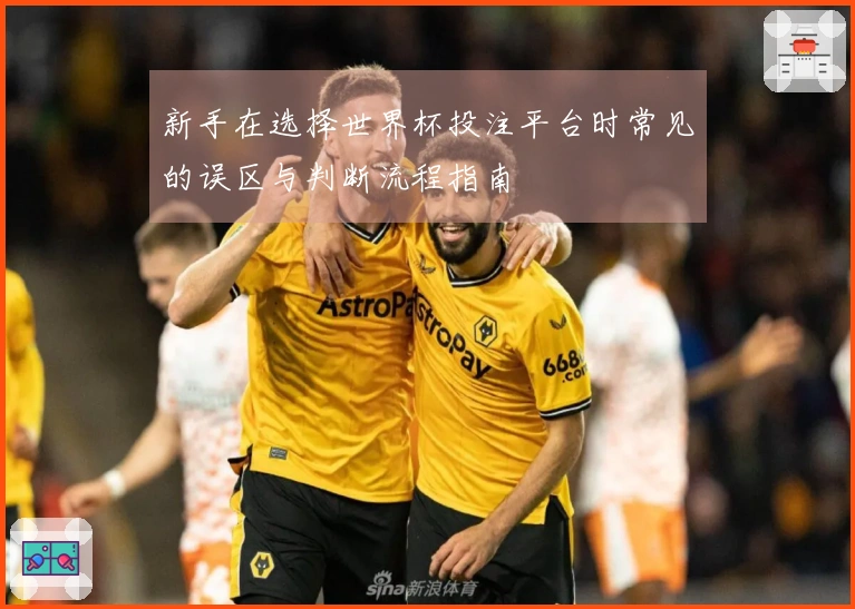 新手在选择世界杯投注平台时常见的误区与判断流程指南