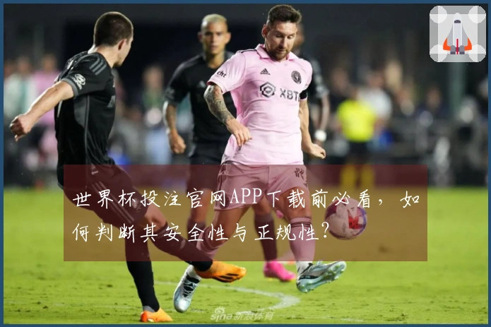 世界杯投注官网APP下载前必看，如何判断其安全性与正规性？