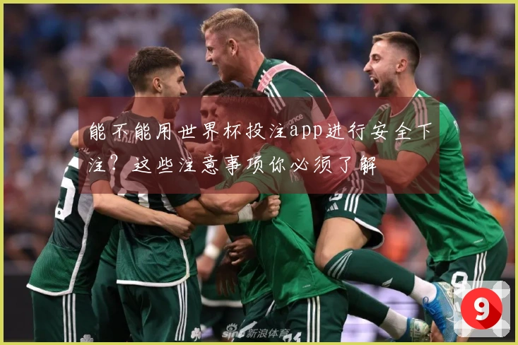 能不能用世界杯投注app进行安全下注？这些注意事项你必须了解