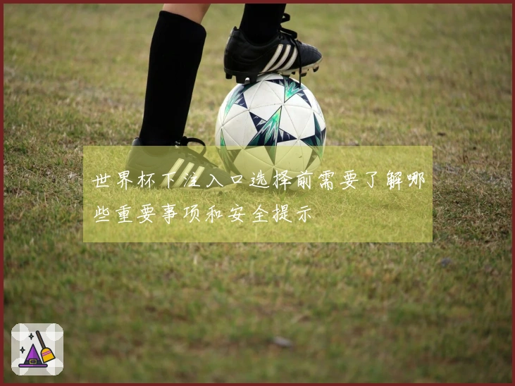 世界杯下注入口选择前需要了解哪些重要事项和安全提示