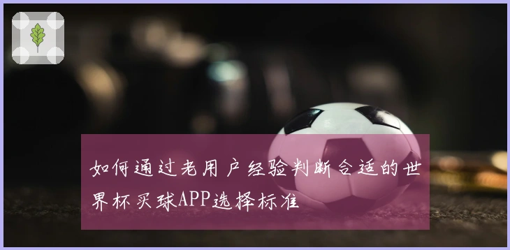 如何通过老用户经验判断合适的世界杯买球APP选择标准