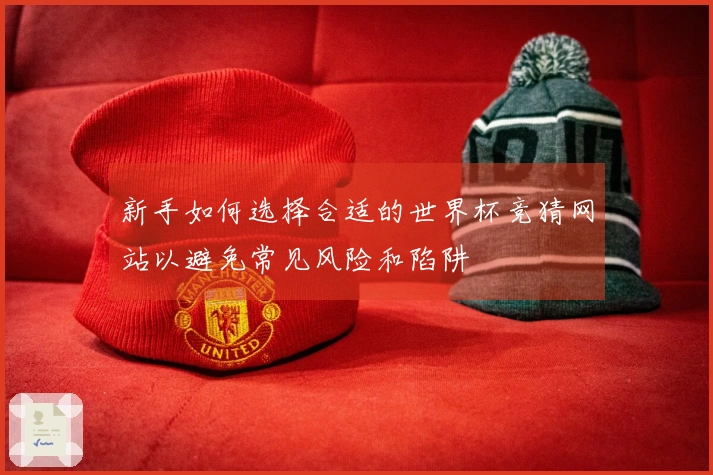 新手如何选择合适的世界杯竞猜网站以避免常见风险和陷阱