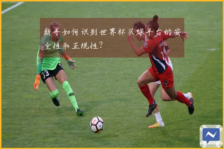 新手如何识别世界杯买球平台的安全性和正规性?