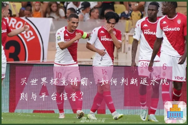 买世界杯竞猜前，如何判断返水规则与平台信誉？