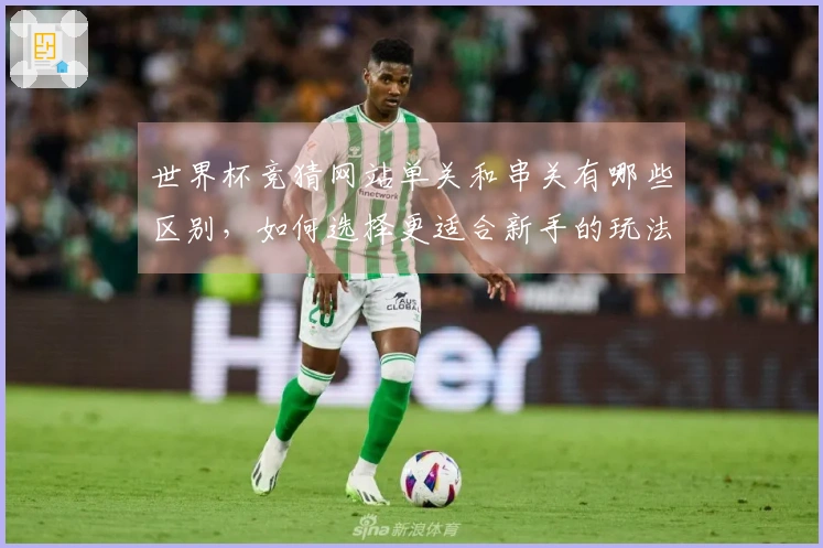 世界杯竞猜网站单关和串关有哪些区别，如何选择更适合新手的玩法