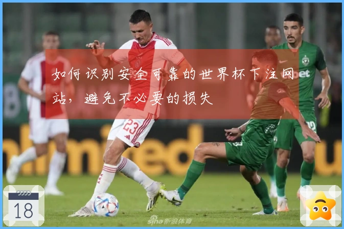 如何识别安全可靠的世界杯下注网站，避免不必要的损失