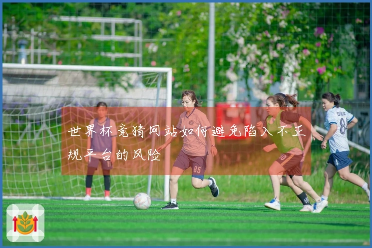 世界杯竞猜网站如何避免陷入不正规平台的风险