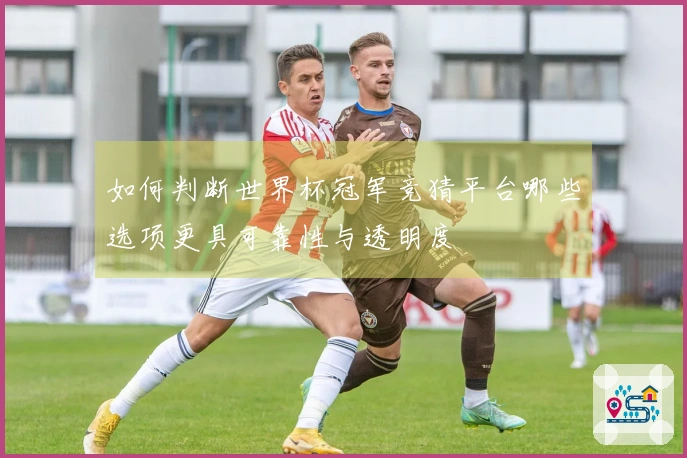 如何判断世界杯冠军竞猜平台哪些选项更具可靠性与透明度