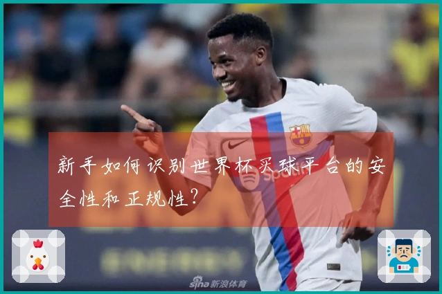 新手如何识别世界杯买球平台的安全性和正规性？