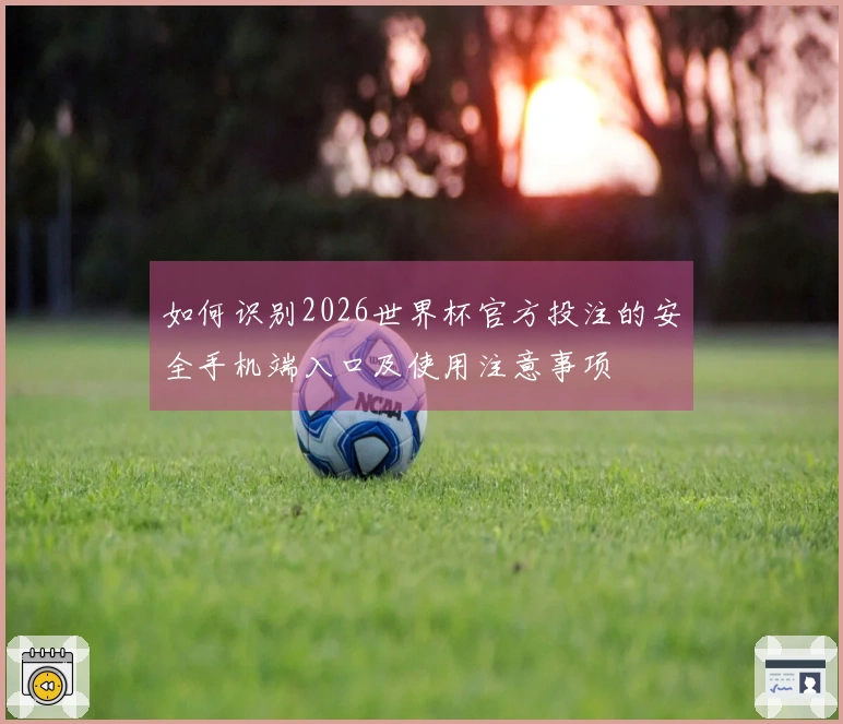 如何识别2026世界杯官方投注的安全手机端入口及使用注意事项